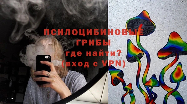 эйфоретик Алзамай