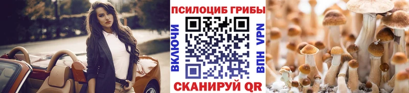 Псилоцибиновые грибы мухоморы  Пыталово 